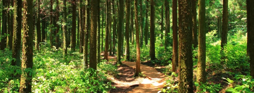 SEO : votre stratégie long terme 4 Comparaison du SEO à un chemin non linéaire